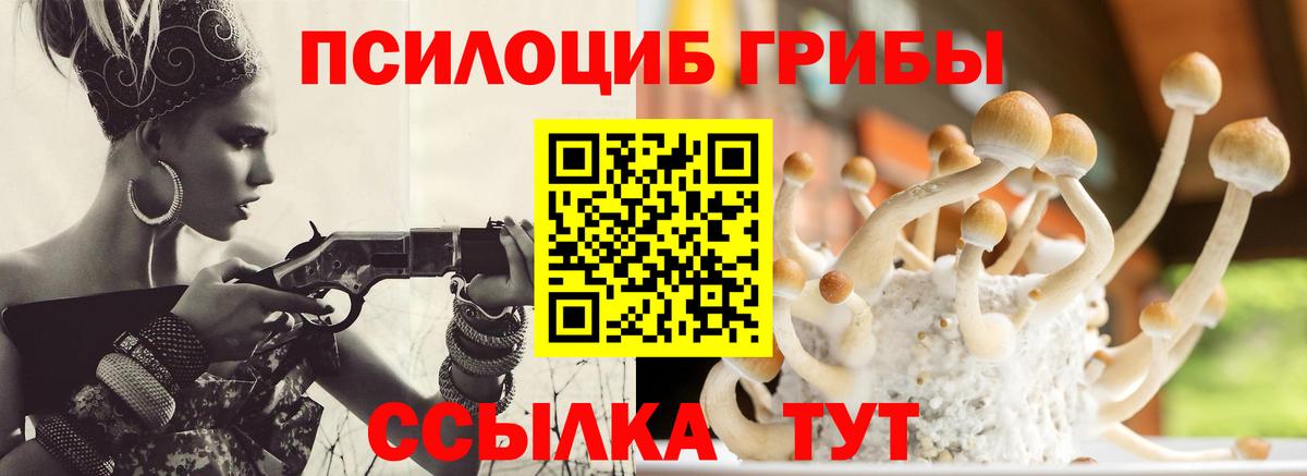 Галлюциногенные грибы MAGIC MUSHROOMS  Вход с VPN  Лосино-Петровский 